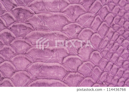 Snakeskin leather Snakeskin leather 114436766