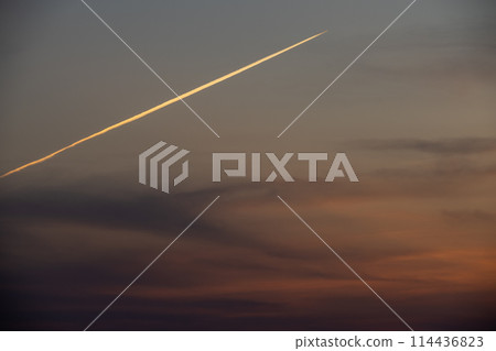 Contrail dyed at sunset Contrail dyed at sunset 114436823