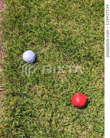 A red and white ball for a toss game rolling on the grass A red and white ball for a toss game rolling on the grass 114437534