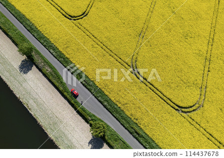 North Yorkshire Countryside - United Kingdom North Yorkshire Countryside - United Kingdom 114437678