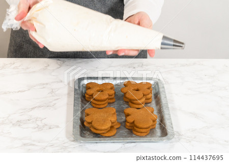 Gingerbread cookies await their second halves on a marble surface, each meticulously piped with buttercream to craft delightful sandwich treats. The precision of the piping adds a festive touch. Gingerbread cookies await their second halves on a marble surface, each meticulously piped with buttercream to craft delightful sandwich treats. The precision of the piping adds a festive touch. 114437695