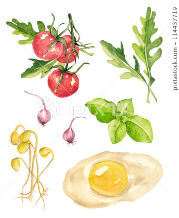 Greens and fresh vegetables. Tomatoes, beans, onions, seeds, arugula, basil and egg in watercolor. Botanical design. Product Set Greens and fresh vegetables. Tomatoes, beans, onions, seeds, arugula, basil and egg in watercolor. Botanical design. Product Set 114437719