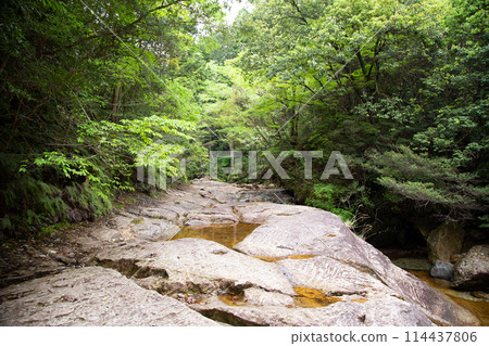 Chiiwa Gorge - Walking on huge rocks (Shinshiro City, Aichi Prefecture) 114437806