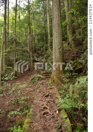 垂窪峽攀登路線（愛知縣新城市） 114437814