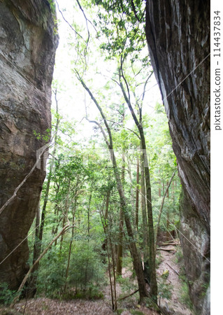 Chiiwa Gorge: Huge rock near the summit (Shinshiro City, Aichi Prefecture) 114437834