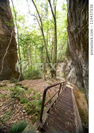 Chiiwa Gorge (Shinshiro City, Aichi Prefecture) Iron ladders (stairs) installed on the steep slope of the hiking trail Chiiwa Gorge (Shinshiro City, Aichi Prefecture) Iron ladders (stairs) installed on the steep slope of the hiking trail 114437836