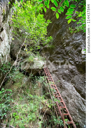 Chiiwa Gorge (Shinshiro City, Aichi Prefecture) Iron ladders (stairs) installed on the steep slope of the hiking trail 114437844