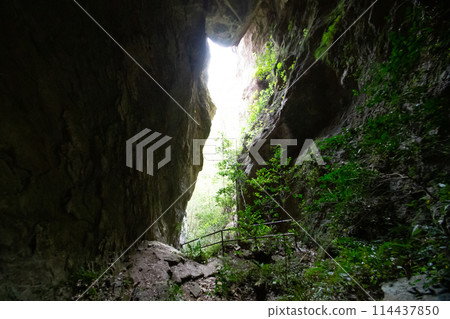 吹和峽通天洞（愛知縣新城市） 114437850