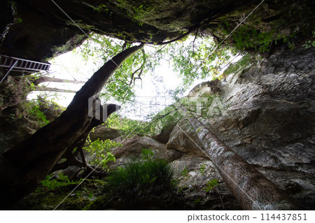 Chiiwa Gorge Tsuten Cave (Shinshiro City, Aichi Prefecture) 114437851