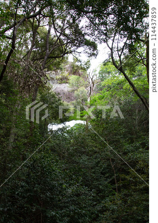 千雄峽通天門（愛知縣新城） 114437859