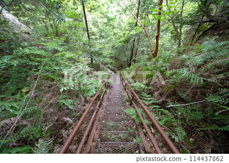 Chiiwa Gorge hiking trail (Shinshiro City, Aichi Prefecture) 114437862
