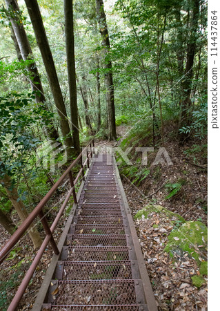 吹和峽登山步道（愛知縣新城市） 114437864