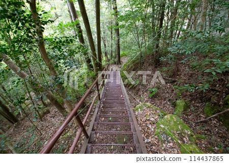 Chiiwa Gorge hiking trail (Shinshiro City, Aichi Prefecture) 114437865