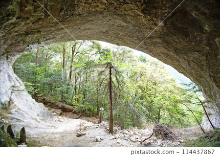 吹輪峽目屋岩洞(愛知縣新城市) 吹輪峽目屋岩洞(愛知縣新城市) 114437867