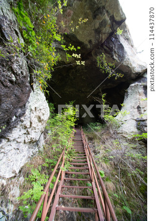 Chiiwa Gorge and Chiiwa Cave (Shinshiro City, Aichi Prefecture) 114437870