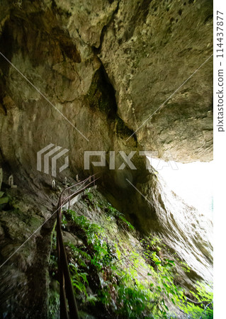 Chiiwa Gorge: Inside the Chiiwa Cave (Shinshiro City, Aichi Prefecture) Chiiwa Gorge: Inside the Chiiwa Cave (Shinshiro City, Aichi Prefecture) 114437877
