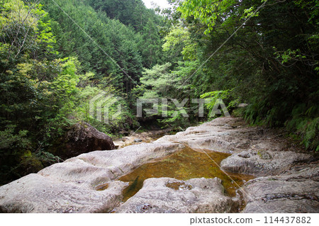 垂窪峽（愛知縣新城市） 114437882