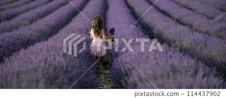 Lavender field girl banner. Back view happy girl in pink dress with flowing hair runs through a lilac field of lavender. Aromatherapy travel 114437902