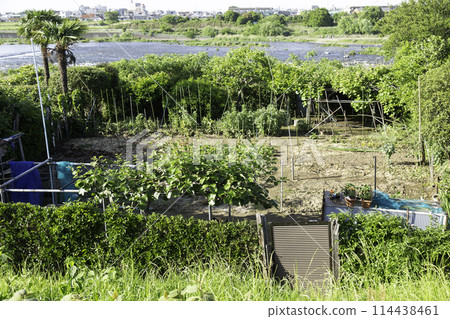 Illegally created black-field farms on the riverbed 114438461