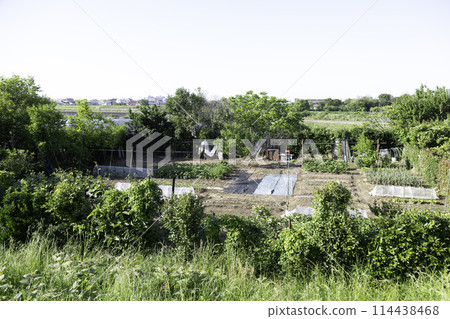 Illegally created black-field farms on the riverbed 114438468