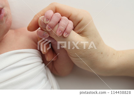 Close-up little hand of child and palm of mother and father. The newborn baby has a firm grip on the parent's finger after birth. A newborn holds on to mom's, dad's finger. 114438828