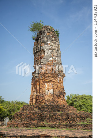 THAILAND AYUTTHAYA WAT LOKAYASUTHARAM 114438923