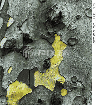Vector illustration of the texture of the bark of an oriental plane tree or Platanus orientalis in Latin. Natural military background. Vector illustration of the texture of the bark of an oriental plane tree or Platanus orientalis in Latin. Natural military background. 114438978