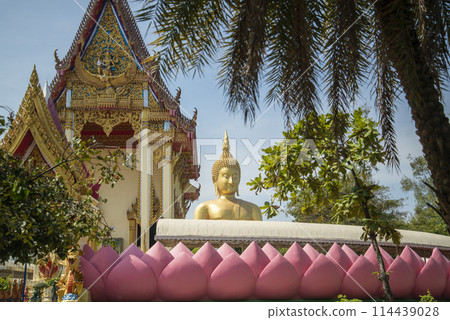 THAILAND ANG THONG WAT MUANG 114439028