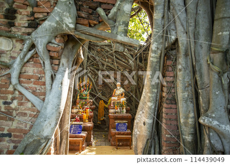 THAILAND ANG THONG WAT SANG KRATAI THAILAND ANG THONG WAT SANG KRATAI 114439049