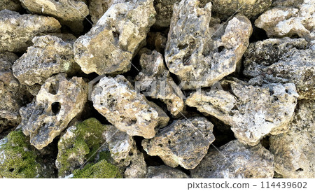 琉球石灰岩石牆紋理 114439602