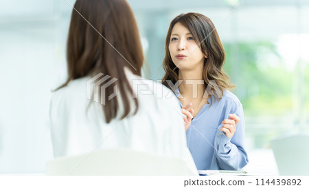 two businesswomen having a meeting 114439892