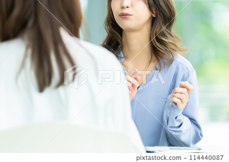two businesswomen having a meeting two businesswomen having a meeting 114440087