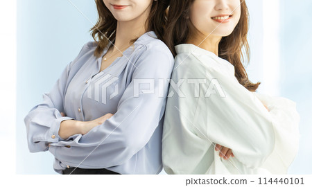 Two friendly businesswomen, teamwork image Two friendly businesswomen, teamwork image 114440101