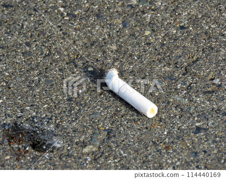 Environmental problem - Cigarette butts thrown away on the street 114440169