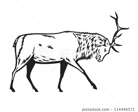 Bull Elk or Wapiti in Fighting Stance Side View Mascot Retro Bull Elk or Wapiti in Fighting Stance Side View Mascot Retro 114440571