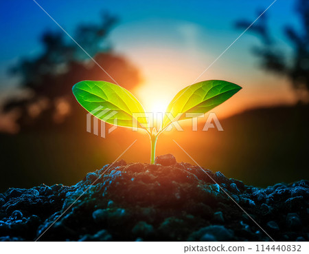 New shoots illuminated by the sun (AI-generated image) 114440832