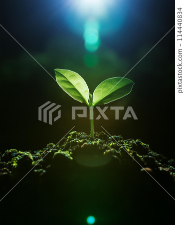 New shoots illuminated by the sun (AI-generated image) 114440834