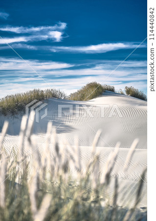 White sand dunes of northern Denmark White sand dunes of northern Denmark 114440842
