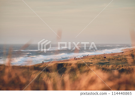 Sunset at the danish west coast 114440865