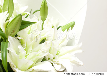 Beautiful lily flowers on white background 114440901