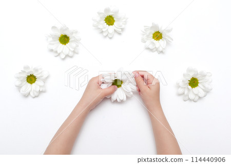 Double border of white daisy flower paper decorations. Top view over a rustic white wood banner background. Copy space Double border of white daisy flower paper decorations. Top view over a rustic white wood banner background. Copy space 114440906