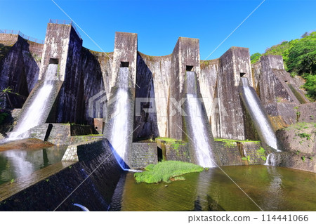 [Kagawa Prefecture] Azaleas blooming in spring at the Honenike Dam (Hoenike Weir), the first stone masonry multiple arch dam in the country 114441066