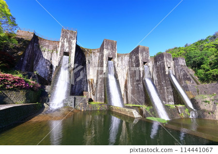 [Kagawa Prefecture] Azaleas blooming in spring at the Honenike Dam (Hoenike Weir), the first stone masonry multiple arch dam in the country 114441067