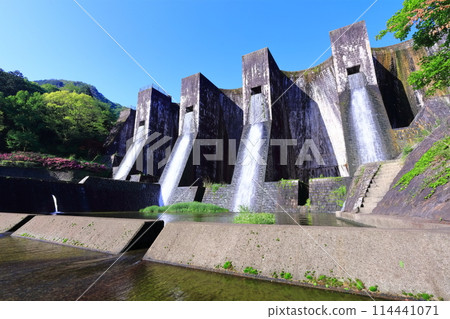 [香川縣] 全國第一座石砌連拱壩－Totoshi Pond Dam（Totoshi Pond Dam）春天杜鵑花盛開 114441071