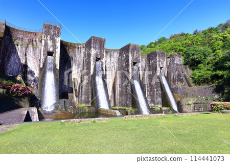 [香川縣] 全國第一座石砌連拱壩－Totoshi Pond Dam（Totoshi Pond Dam）春天杜鵑花盛開 114441073
