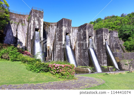 [香川縣] 全國第一座石砌連拱壩－Totoshi Pond Dam（Totoshi Pond Dam）春天杜鵑花盛開 114441074