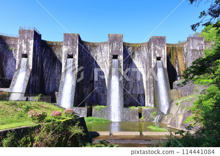 [香川縣] 全國第一座石砌連拱壩－Totoshi Pond Dam（Totoshi Pond Dam）春天杜鵑花盛開 114441084