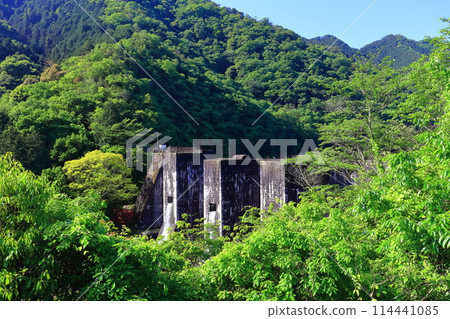 [香川縣] 全國第一座石砌連拱壩－Totoshi Pond Dam（Totoshi Pond Dam）春天杜鵑花盛開 114441085