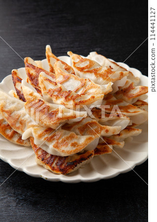 Pan-fried gyoza 114441127