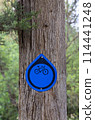 tree trunk with bicycle routes sign 114441248